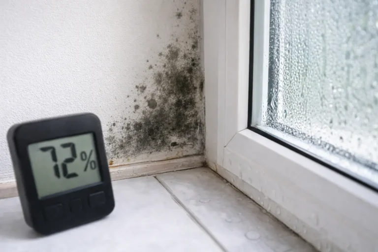 Moisissure noire dans l’angle d’un mur près d’une fenêtre avec condensation et hygromètre indiquant un fort taux d’humidité dans un appartement.